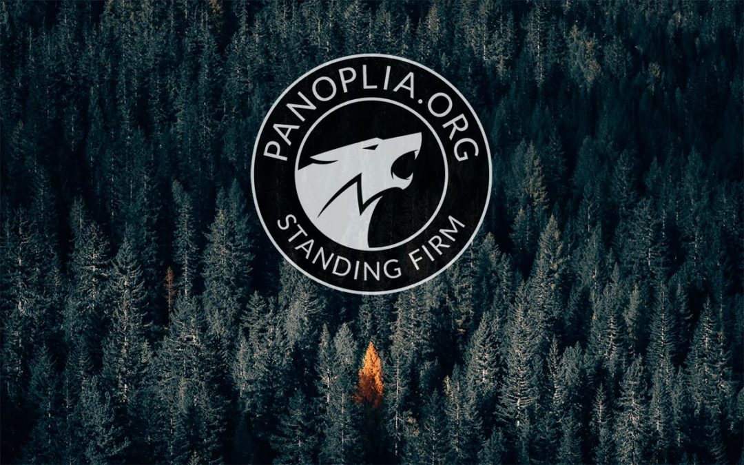 Panoplia.org Update – Six Months In