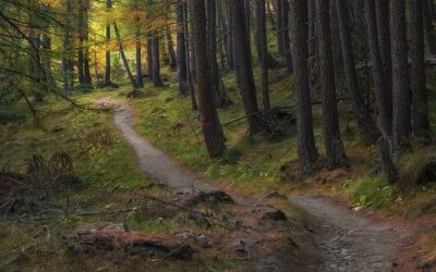 May it be a Well-worn Path